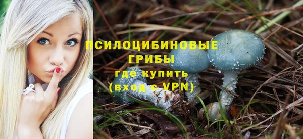 бошки Покров