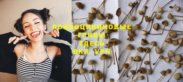 прущий лед Покровск